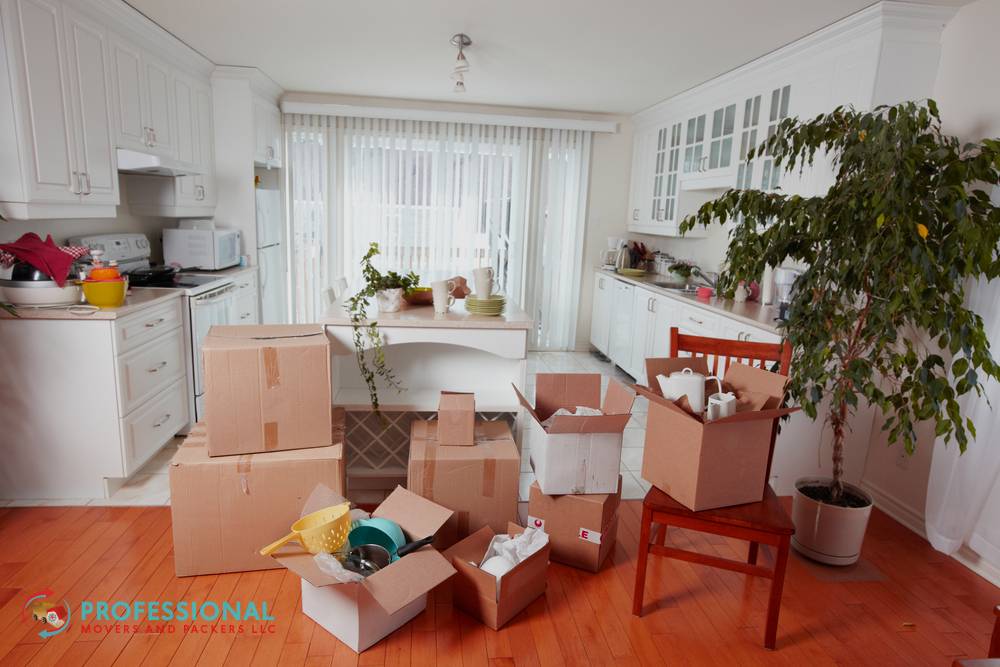 Professional Apartment Movers in dubai